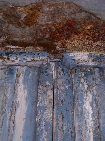 photography copyright begoña muñoz 2004 courtesy from the author to alfredo colunga official website all rights reserved