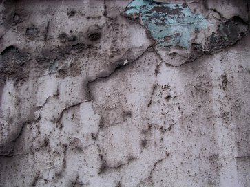 photography copyright begoña muñoz 2004 courtesy from the author to alfredo colunga official website all rights reserved