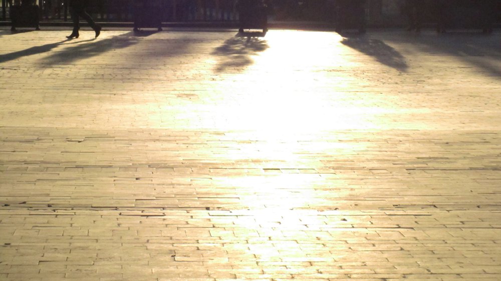 photography copyright alfredo colunga 2014 all rights reserved